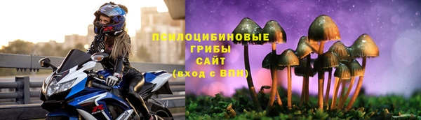 соль ск Гусь-Хрустальный