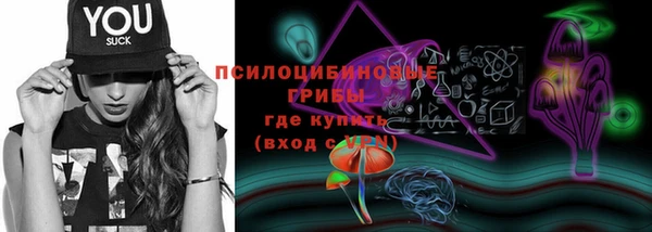 синтетический гашиш Гусиноозёрск