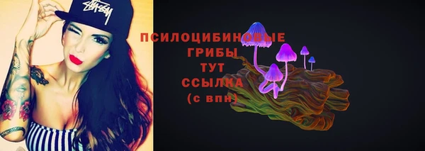синтетический гашиш Гусиноозёрск