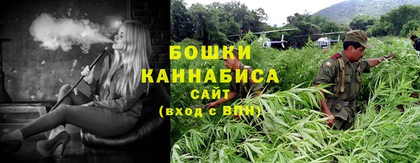 соль ск Гусь-Хрустальный