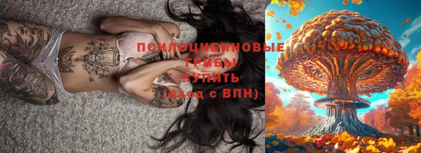 соль ск Гусь-Хрустальный