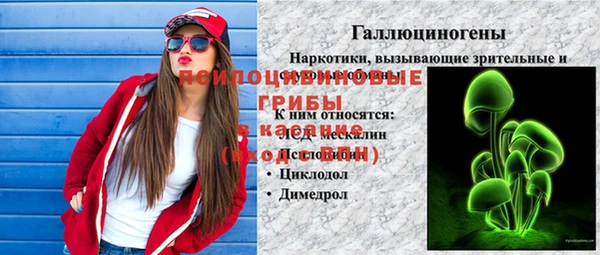 соль ск Гусь-Хрустальный