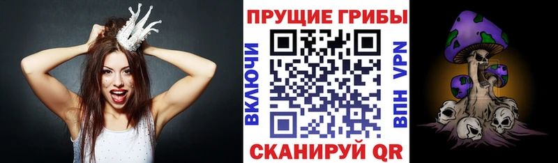 Купить  Камызяк  Галлюциногенные грибы MAGIC MUSHROOMS 