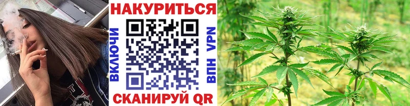 Купить где Камызяк Бошки марихуана VHQ